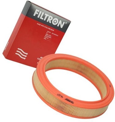 FILTRON FILTRO AIRE FORD P 100 II  