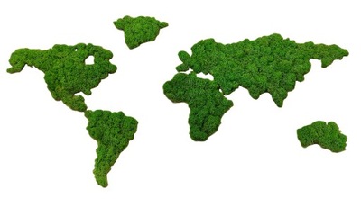 Drewniana mapa świata - kontynenty