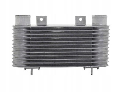 Радиатор воздуха интеркулер do ford ranger mazda bt-50 паянная, alum фото №1