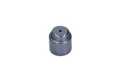 BEARING SHAFT INJECTION VW 15X24X24 61-0106 MAXGEAR  