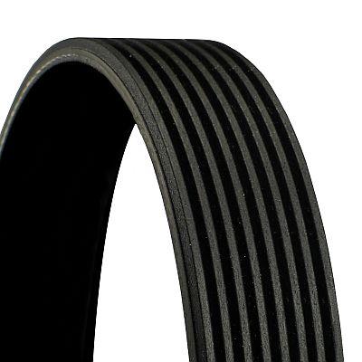 CONTINENTAL 8PK1035 BELT WEDGE MULTI-RIBBED - milautoparts-fr.ukrlive.com