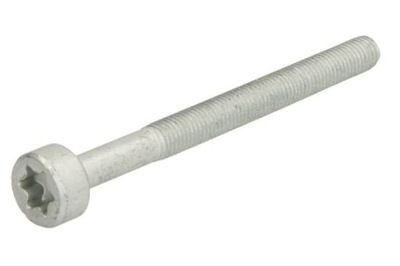 Болт кріплення форсунки фото №1