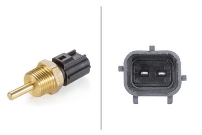 SENSOR TEMPERATURA DE LÍQUIDO REFRIGERACIÓN (ILOSC PINOW: 2, CZARNY) CONVIENE DO: C  