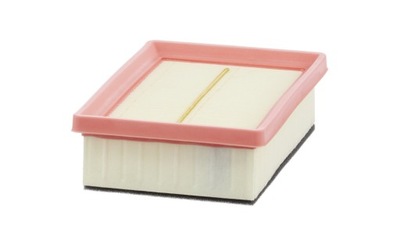 B174de_e фільтр повітря dacia renault group jog фото №1