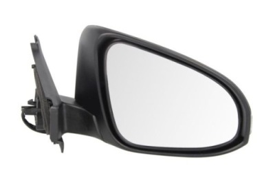 Зеркало наружное 5402-19-2002558p blic фото №1