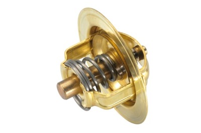 WAH 3032.80 TERMOSTATO BORGWARNER SKODA  