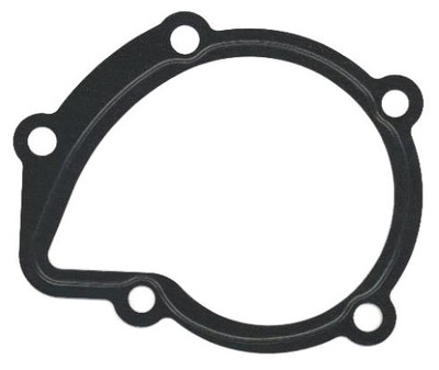 GASKET PUMP LIQUID COOLING FITS DO: CITROEN BERLINGO, BERLINGO/MIN  