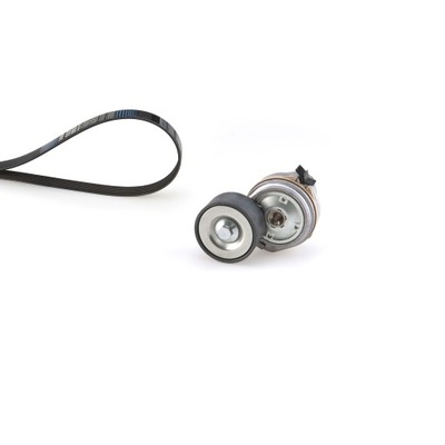 Набор ремни многоручейковый. с натяжитель man cla hocl lion s intercity фото №1