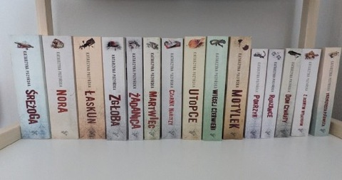 Seria Lipowo Katarzyna Puzyńska 15 tomów 