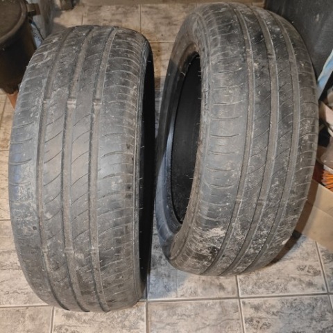 2 ШТ ШИНИ ЛІТНІ NANKANG ECONEX 195/55 R16 