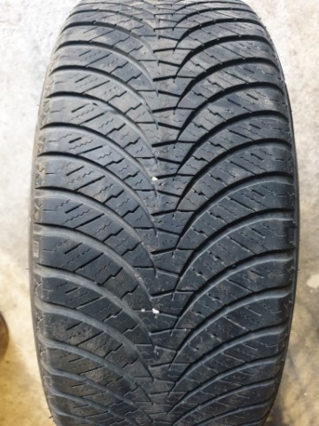 ШИНА CALOROCZNA FALKEN EUROALL SEASON AS210 195/45R16 