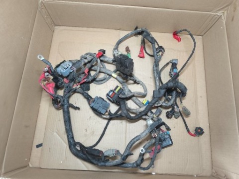 WIRE SET ELECTRICAL CAN AM DS 450 2009 
