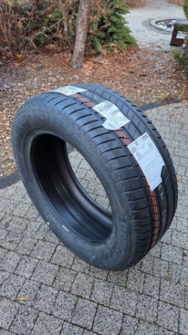 ШИНА BRIDGESTONE ALENZA 001 265/50 R19 110W XL 