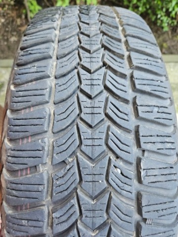 ШИНИ ЗИМОВІ DEBICA FRIGO HP2 205/60R16 