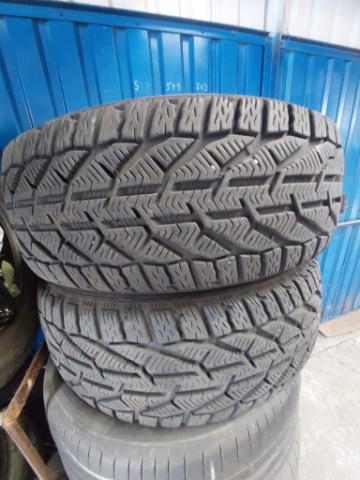 Taurus winter 205/55 R16 92H