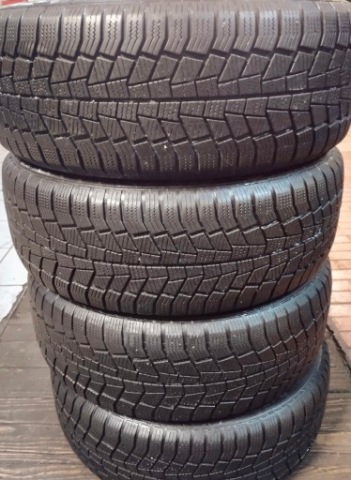 VIKING WINTECH 195/55R15 85H