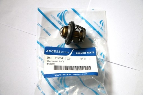 ТЕРМОСТАТ ACCESS / LUCKY STAR 250/300 