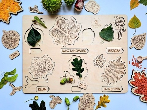 Plansza do nauki nazw drzew - SensoBudka