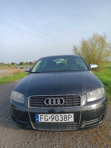 Audi A3 8P 1.6 MPI 2004r 