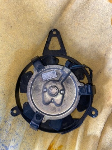 FAN FAN YAMAHA THUNDERCAT YZF 600 