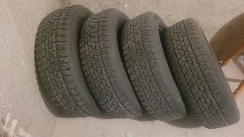 FIRESTONE WINTERHAWK 2 Evo R15 185/65