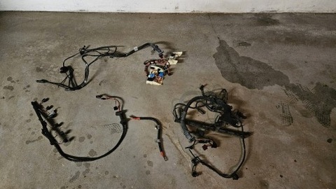 JUEGO DE CABLES DEL MOTOR M54 BMW E60  