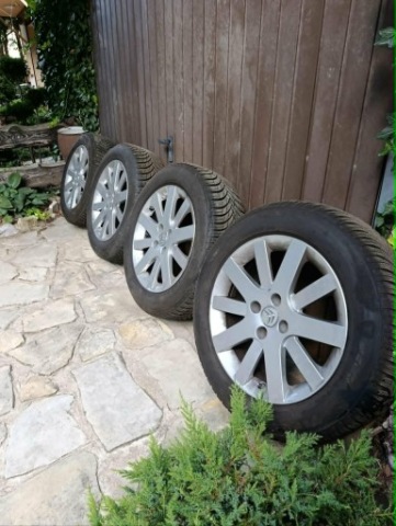 ЗИМОВІ CITROEN 17