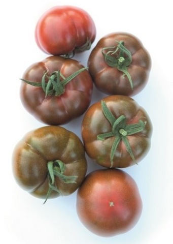 Pomidor Big Sacher F1 firmy Yuksel 2 nasiona czekoladowy premium