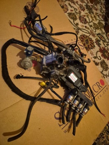WIRING GAS SEQUENCE LPG STAG 200 GOFAST BARRACUDA 115 AC R01 