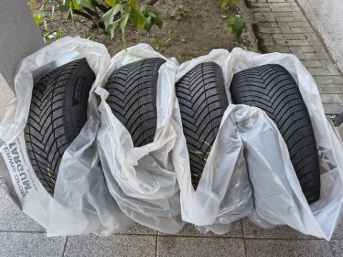 ШИНИ CALOROCZONE IMPERIAL ALL SEASON 205/55 R17 XL RF RANT ЗАХИСНИЙ 