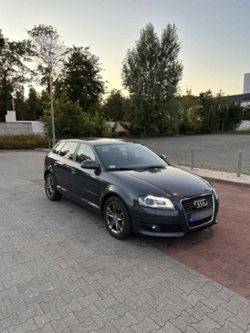 Audi A3 8P 2008r