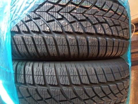 ШИНИ ЗИМОВІ DUNLOP 225/45R17 91H 