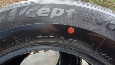 ШИНИ ЗИМОВІ HANKOOK WINTER ICEPT EVO 2 215\/70\/16 фото