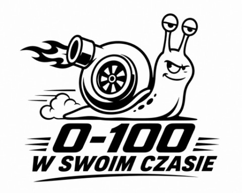 НАКЛЕЙКА 0-100 W SWOIM CZASIE ТУРБИНЫ SLIMAK 20 CM NA АВТОМОБИЛЬ 