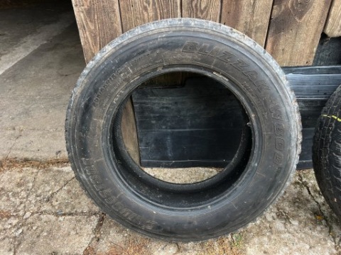 Bridgestone Blizzak W800