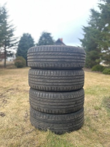 ШИНИ ЛІТНІ NOKIAN WETPROOF 1 215/55 R16 93V 4 SZT. 