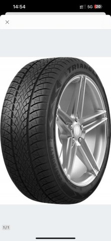 2× Triangle Winterx TW401 205/60R16 96 H  