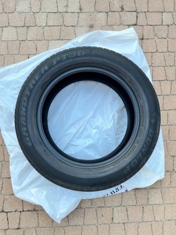 ЛІТНІ 4X 225/60R18 100H DUNLOP GRANDTREK PT30 5,5MM 2021R 
