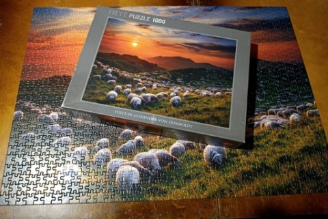 Puzzle 1000 elementów – Heye „Owce na górskim pastwisku” | piękny krajobraz