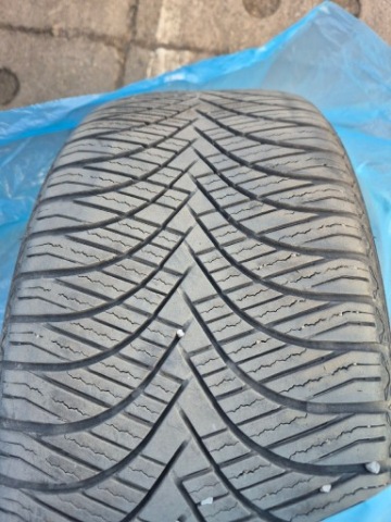 ШИНИ WIELOSEZON 245 44 18 100W GOODRIDER DOT 44/23 