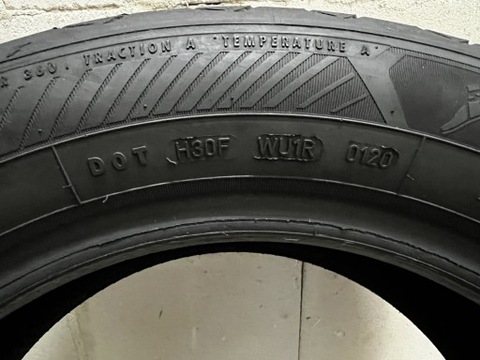 GoodyearEfficientgripPerformance 2 205/55R16 91 фото