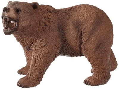 Niedźwiedź grizzly