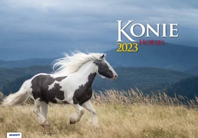 Kalendarz 2023 ścienny Konie KA10