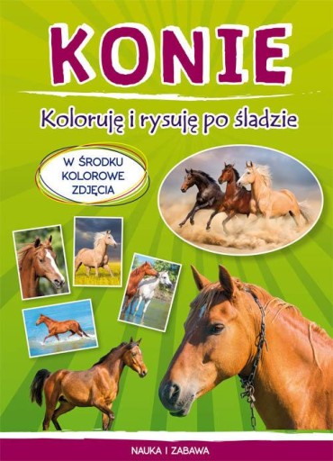 Лошади, которых я раскрашиваю и рисую, Моника Мышлак.