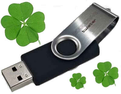 Память GOODRAM Twister 32 ГБ USB 2.0 Черный