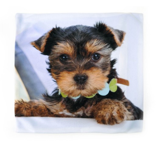 ПОДУШКА DOG 17 CAT MOG BRAC НАВУШКА 40x40