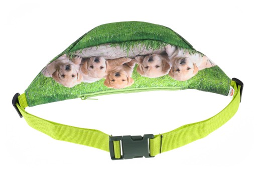 Детская поясная сумка Wenecja Charming Puppies PL