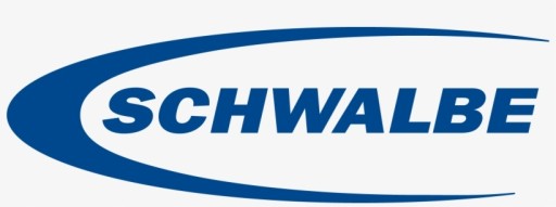 SCHWALBE Racing Ray Performance 29x2,25 TLR Addix