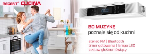 РАДИО FERGUSON CUCINA - FM под шкафом с Bluetooth