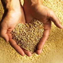 МУКА из ДРЕВНЕЙ ПШЕНИЦЫ 2AB легкая FODMAP 1 кг
